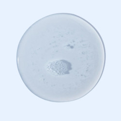 Orlane Paris - B21 Extraordinaire Lotion Vivifiante