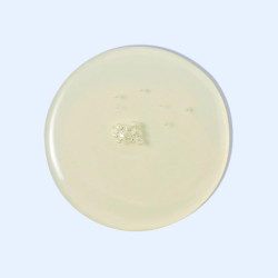 Orlane Paris - B21 Extraordinaire Huile Regenerante