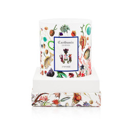 Carthusia A' Mmare - Candela Profumata