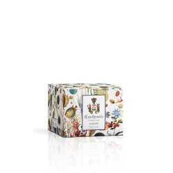 Carthusia A'Mmare - Body Lotion