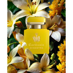 CARTHUSIA - INTENSO DI GINESTRA Collezione Intenso