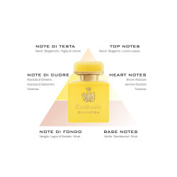 CARTHUSIA - INTENSO DI GINESTRA Collezione Intenso