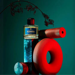 Aedes De Venustas - Pelargonium