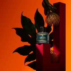 Aedes De Venustas - Sueno Latino