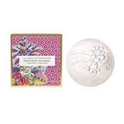 Fragonard - Heliotrope - Gingembre Sapone