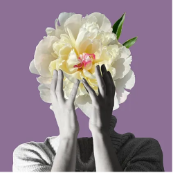 New Notes - Osmanto Shock