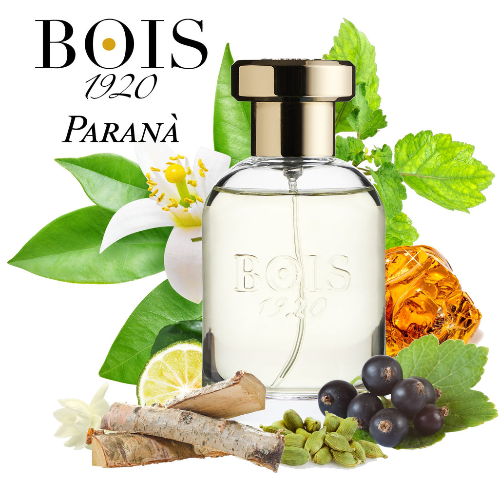 Bois 1920 - Parana'