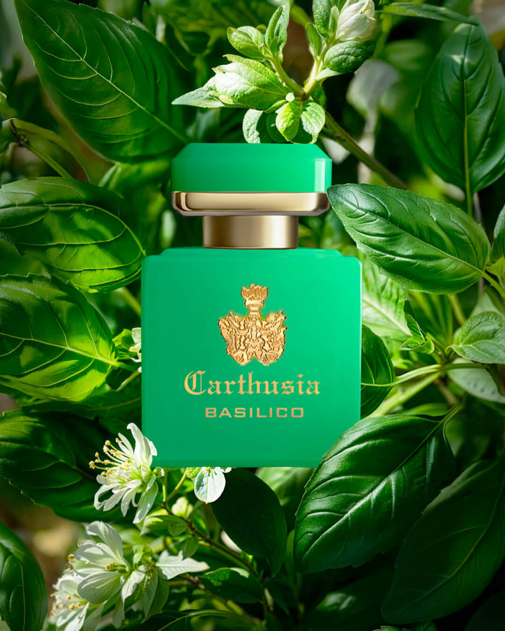 CARTHUSIA - INTENSO DI BASILICO \"Collezione Intenso\"
