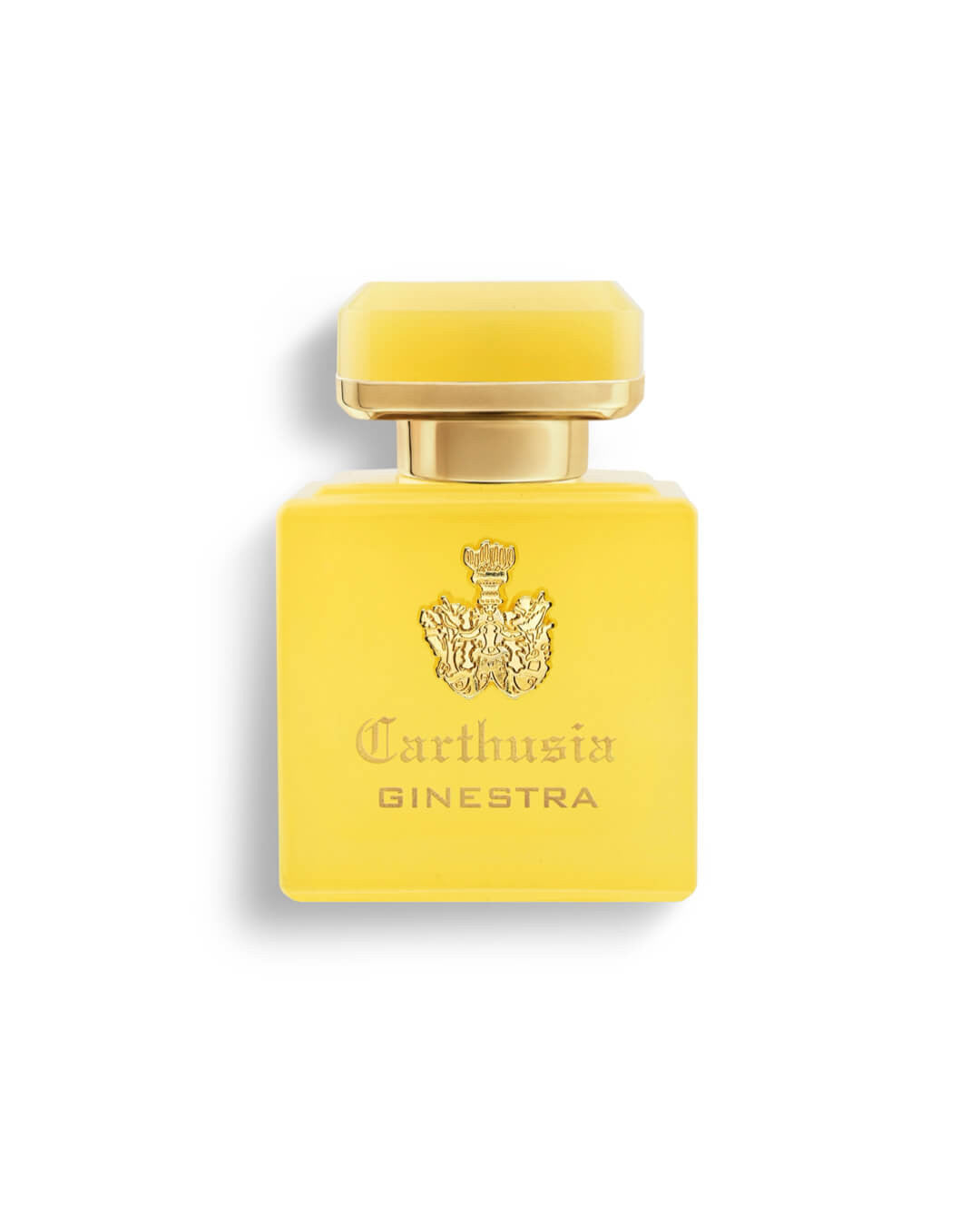 CARTHUSIA - INTENSO DI GINESTRA Collezione Intenso