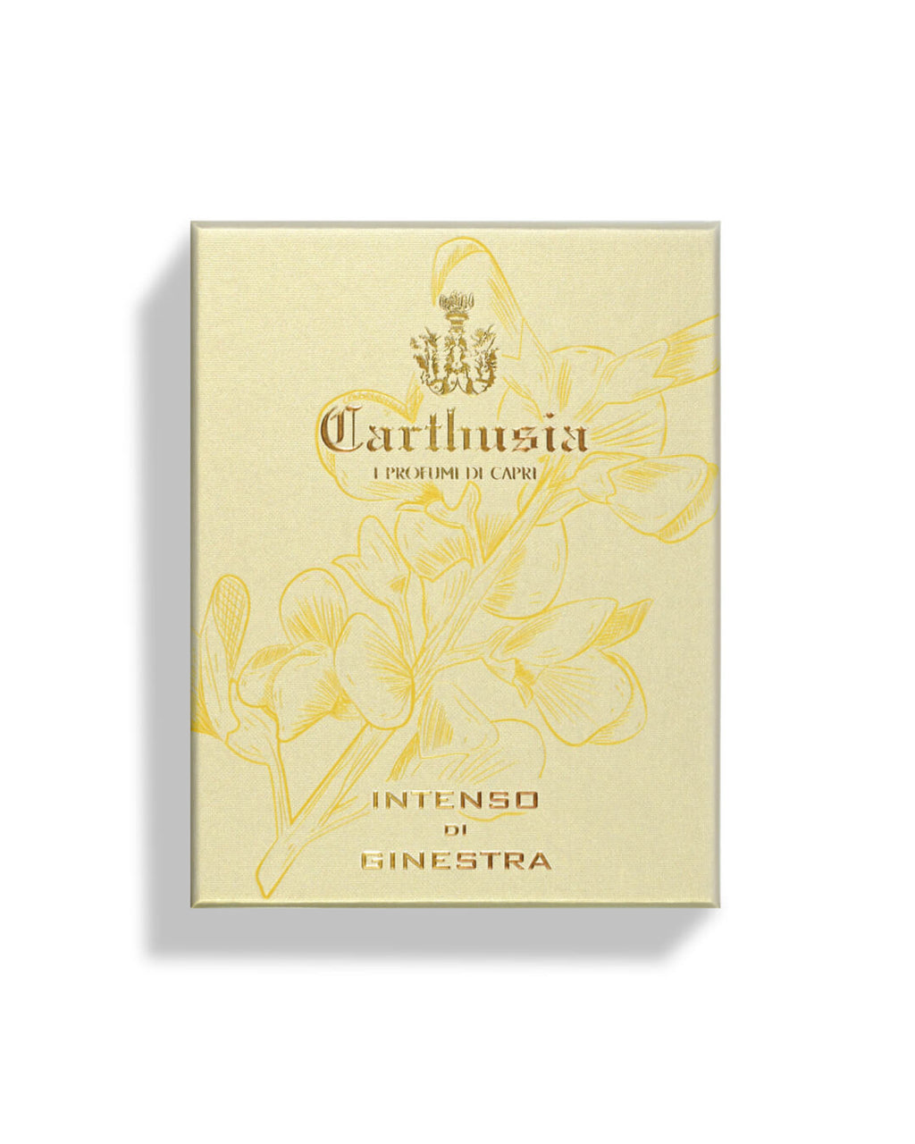 CARTHUSIA - INTENSO DI GINESTRA Collezione Intenso
