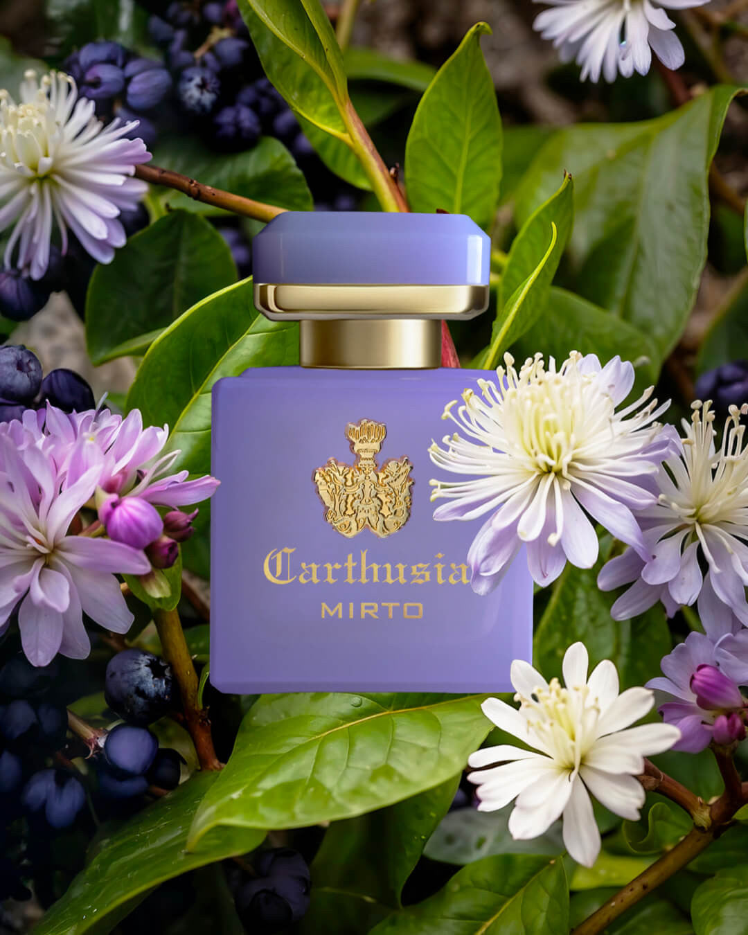 CARTHUSIA - INTENSO DI MIRTO  Collezione Intenso