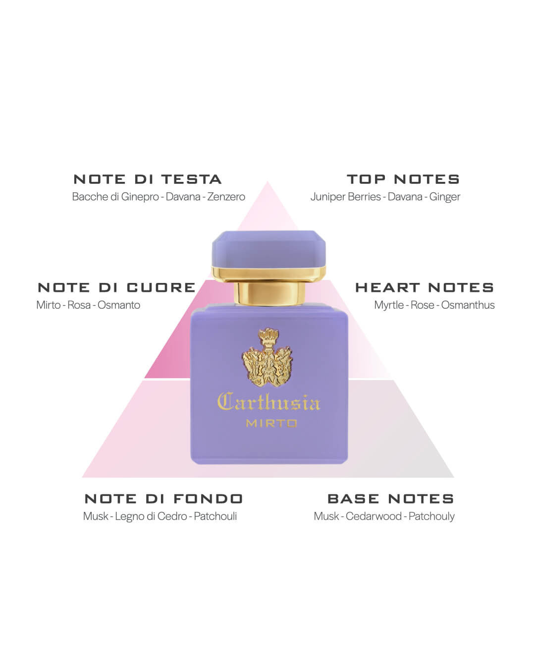 CARTHUSIA - INTENSO DI MIRTO  Collezione Intenso