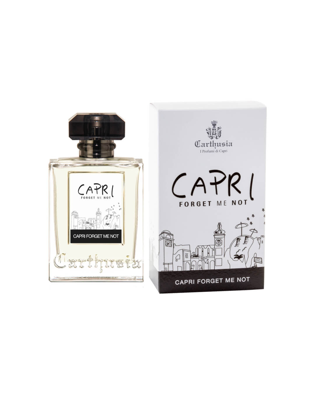 Carthusia - Capri Forget Me Not