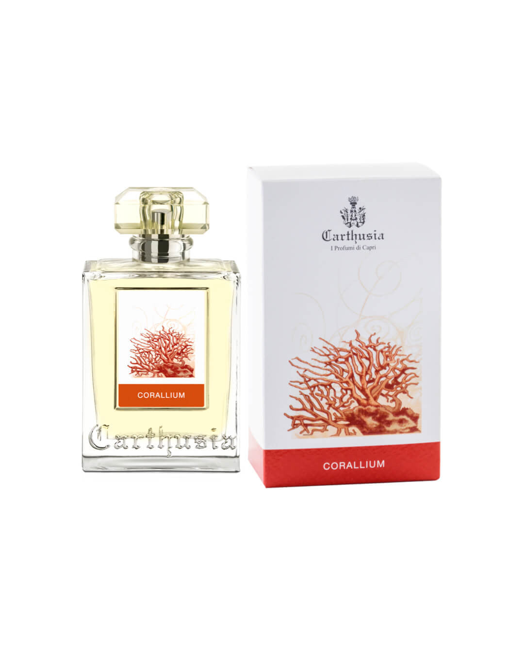 Carthusia - Corallium