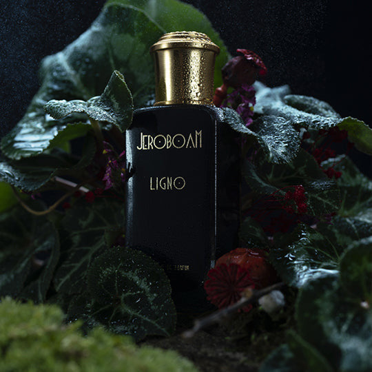 Jeroboam - Ligno
